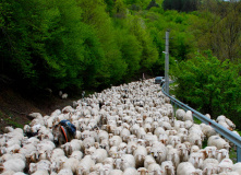 Фотографии из похода по Арагви 2025 года