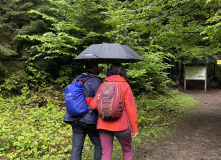 Грузия, Поход по нацпарку Боржоми с проживанием в отелях