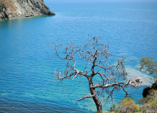 Турция, Трекинг налегке по Восточной Ликии (с размещением в частных отелях)