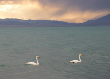 Монголия, Автотур «Неизведанная Монголия»