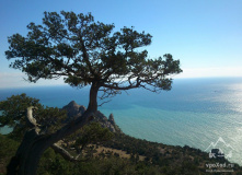 Крым, Горы и море южного берега Крыма