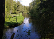 Северо-Запад, Сплав по реке Вьюн на пакрафтах (с трансфером)