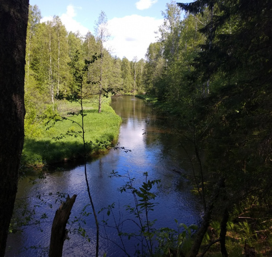 Сплав по реке Вьюн на пакрафтах (с трансфером)