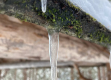 Карелия, По следам на снегу: Северная Карелия на снегоходах и лыжах с детьми