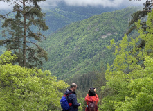 Грузия, Поход по нацпарку Боржоми с проживанием в отелях