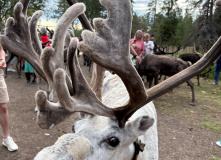 Териберка, Вместе с северным ветром: в Териберку с детьми