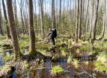 Подмосковье, Пеший поход в Сосновый Рай