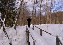 Подмосковье, Лыжный поход - Красоты зимнего Селигера