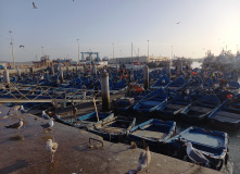 Марокко, Все цвета королевства контрастов