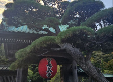 Япония, Каникулы в Японии для детей и взрослых