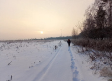 Подмосковье, Однодневный поход «English club в усадьбе Середниково»