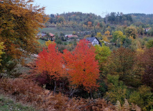 Сербия, Велотур «Здраво, Сербия!»