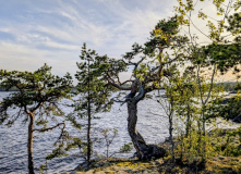 Национальный парк «Ладожские шхеры»
