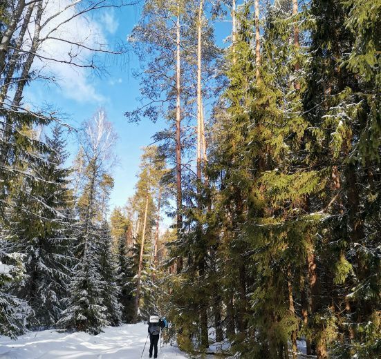 Лыжный поход через Мещёру с ночевкой в тёплом доме