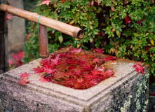 Япония, К пальмам и горячим пескам (разведка)