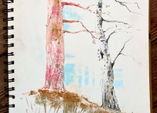 Карелия, Арт-поход по Ладожским шхерам на моторных лодках: пленэр на островах