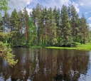 Подмосковье, Однодневный поход «На свежий воздух»