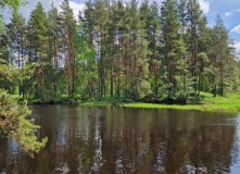 Подмосковье, Однодневный поход «На свежий воздух»