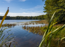 Подмосковье, Шёпот мещёрских лесов да гладь озёр