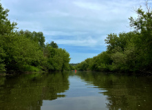 Подмосковье, Поход на одноместных байдарках по реке Осетр с автосопровождением