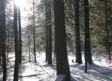 Подмосковье, Пеший поход - Зосимова Пустынь