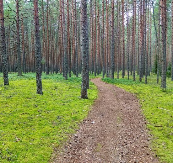Пеший поход «В заповедный уголок Селигера»