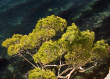 Кавказ, Тайны Шапсугского треугольника: места силы и загадки природы (разведка)