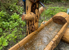 Грузия, Поход по нацпарку Боржоми с проживанием в отелях