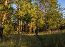 Подмосковье, Шёпот мещёрских лесов да гладь озёр