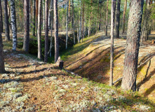 Карелия, Пеший поход к Петрозаводским озерам