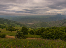 Кавказ, Южное цветочное путешествие: лесные рододендроны Сочи