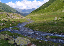 Кавказ, Цветущие склоны Архыза