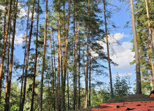 Подмосковье, Семейный поход со сплавом на байдарках "Солнечный сплав"