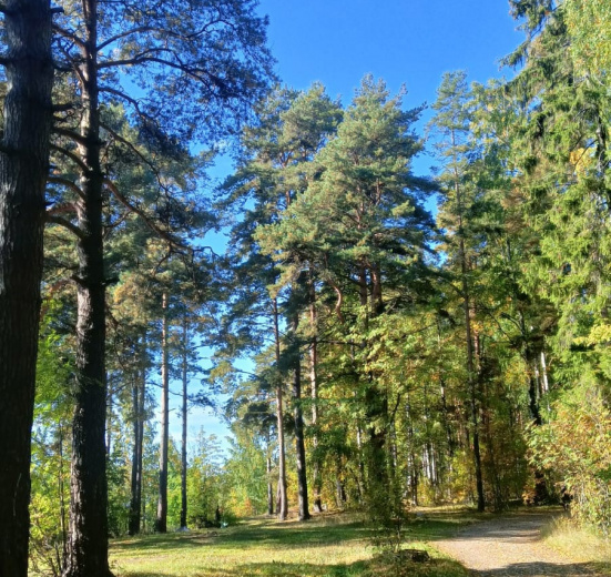 Северо-Запад, Детский велопоход в Лукоморье