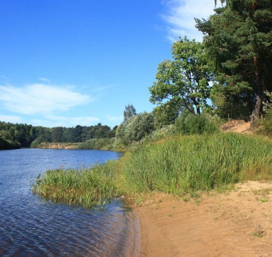 Сплав по рекам Оредеж и Луга