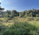 Подмосковье, К НЛО через Голубое озеро