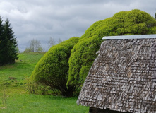 Подмосковье, Вдоль Мсты через подвесные мосты