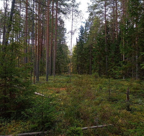 Красоты озера Хепоярви