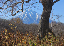 Камчатка, Камчатский вояж Лайт: шум океана и шёпот вулканов (комфорт-тур)