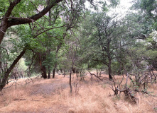 Узбекистан, Лето, весна, зима и снова лето: пеший поход по весенним горам Западного Тянь-Шаня