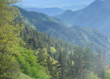 Грузия, Поход по нацпарку Боржоми с проживанием в отелях