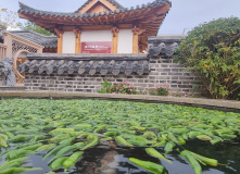 Китай, Китай и острова Владивостока (разведка)