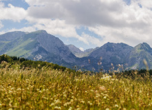 Черногория, Красоты Динарских Альп: национальный парк Дурмитор (без рюкзаков) - разведка