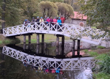 Северо-Запад, Золото осенних дорог: велотур в Пушкинские горы