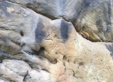 Дагестан, Дагестан глазами натуралиста