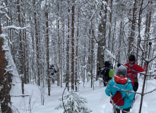 Карелия, По следам на снегу: Северная Карелия на снегоходах и лыжах с детьми