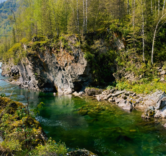 Сплав по реке Чарыш на байдарках