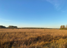 Северо-Запад, Однодневный поход вдоль Кавголовского озера с посещением органного концерта в Токсово