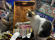 Марокко, Все цвета королевства контрастов