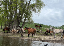 Урал, Байдарки на Урале : майский сплав по реке Сакмара
